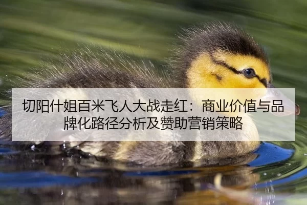 切阳什姐百米飞人大战走红：商业价值与品牌化路径分析及赞助营销策略